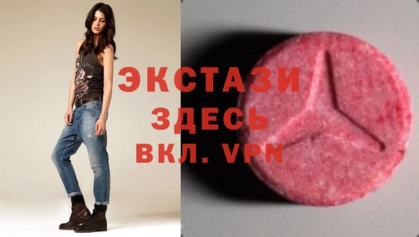стаф Алексин