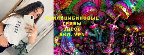 дмт Алзамай