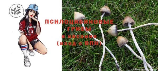 стаф Алексин