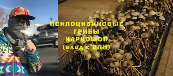 стаф Алексин