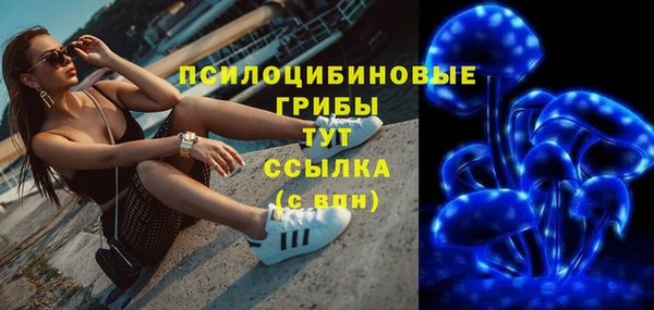 стаф Алексин