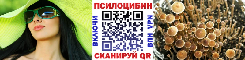 Купить закладки  Анжеро-Судженск  Галлюциногенные грибы MAGIC MUSHROOMS 