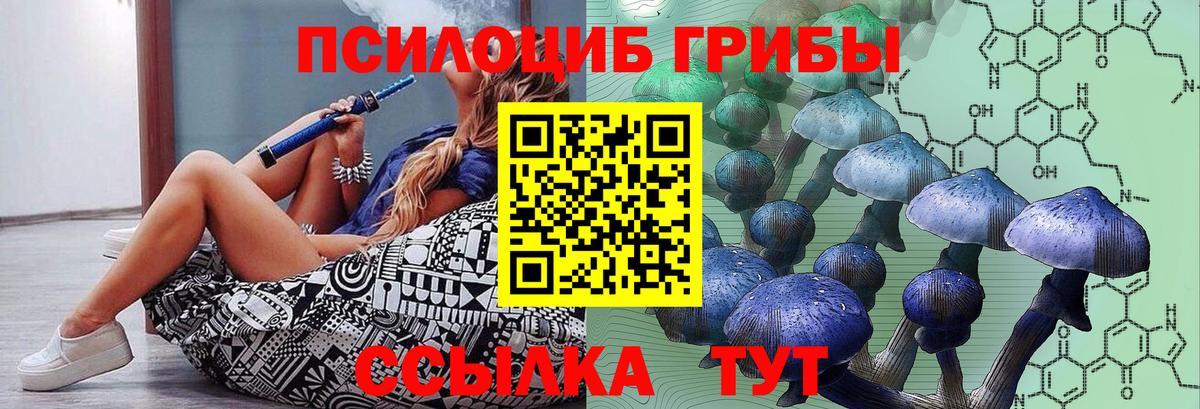 Галлюциногенные грибы GOLDEN TEACHER  Вход с VPN  Анжеро-Судженск 