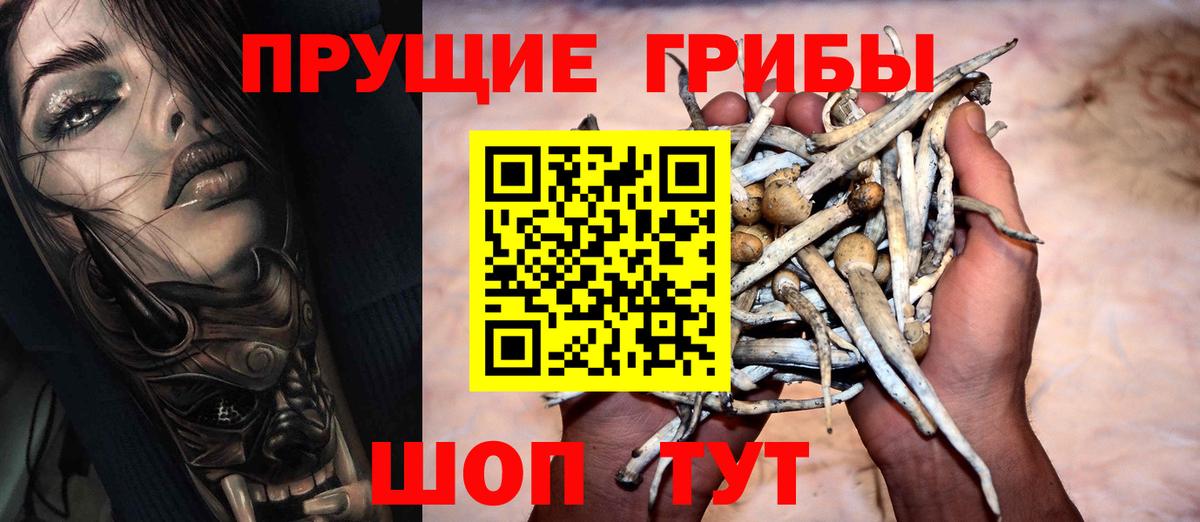 Псилоцибиновые грибы мухоморы Анжеро-Судженск